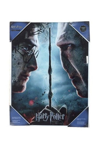 Harry Potter - Glass Poster Harry & Voldemort