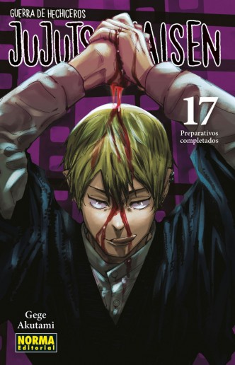 Jujutsu Kaisen 17