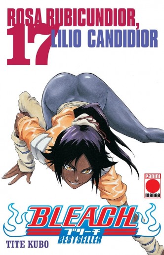 Bleach nº17