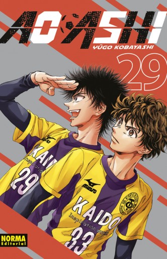 Ao Ashi 29