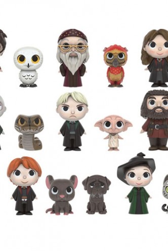 Mystery Minis: Harry Potter