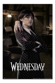 Wednesday: Miércoles - Poster Room