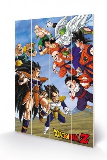 Dragon Ball - Cuadro de Madera Battle Clash 40x59