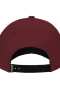 Harry Potter - Gorra Logo Harry Potter