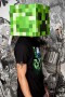 Minecraft Creeper Head