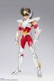 Saint Seiya - Pegasus Seiya Armadura Bronce Final Cloth Myth Ex